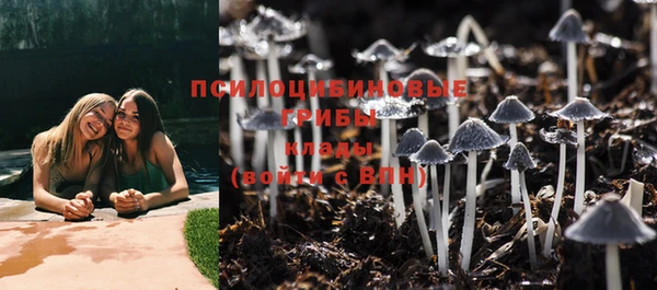 mdpv Баксан