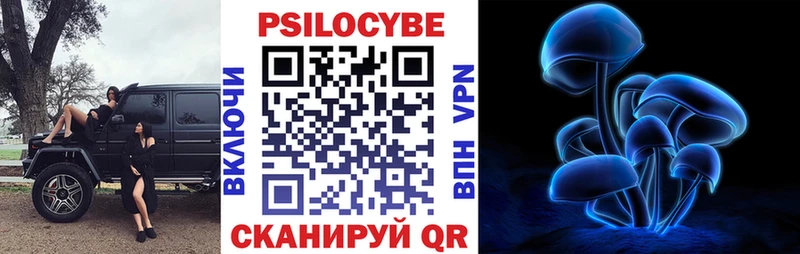 Галлюциногенные грибы Psilocybe  Короча 